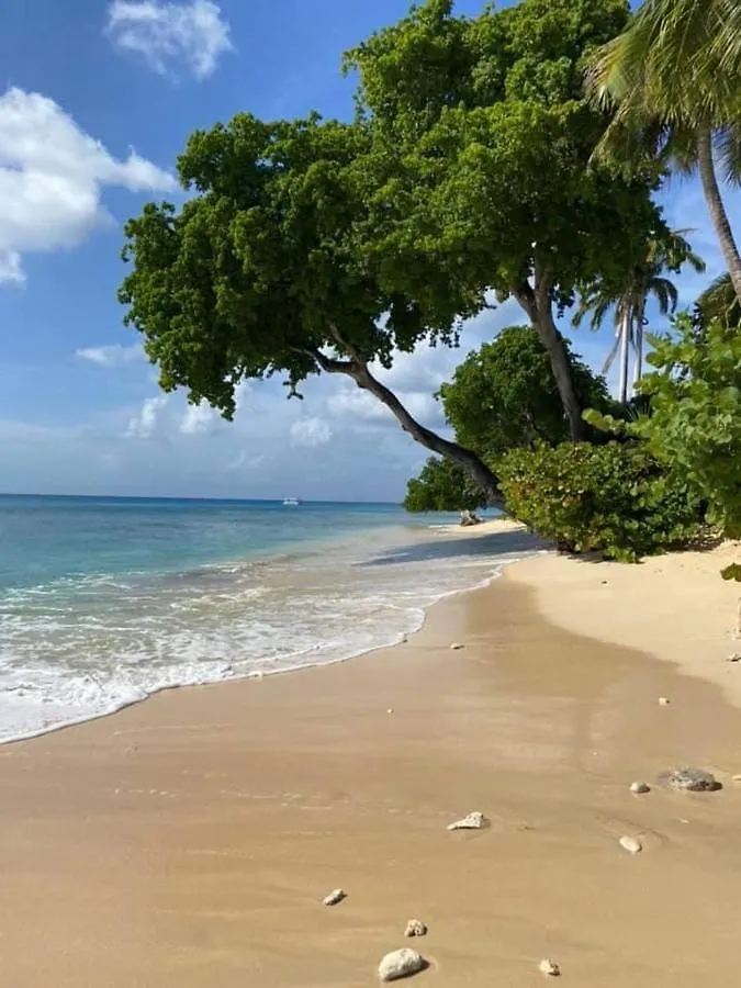 Villa Westmoreland Hills - Mount Standfast - St James - Full Gym Membership Saint James Barbados