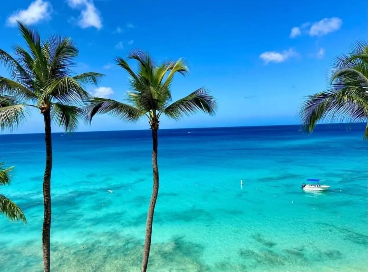 Westmoreland Hills - Mount Standfast - St James - Full Gym Membership Saint James 0*,  Barbados